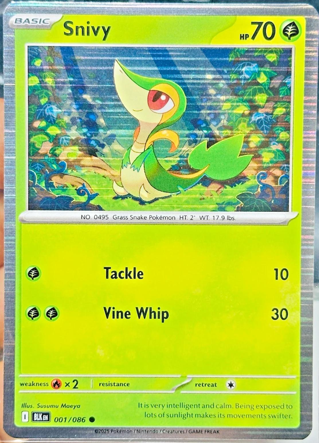 Snivy [Poster Holo]