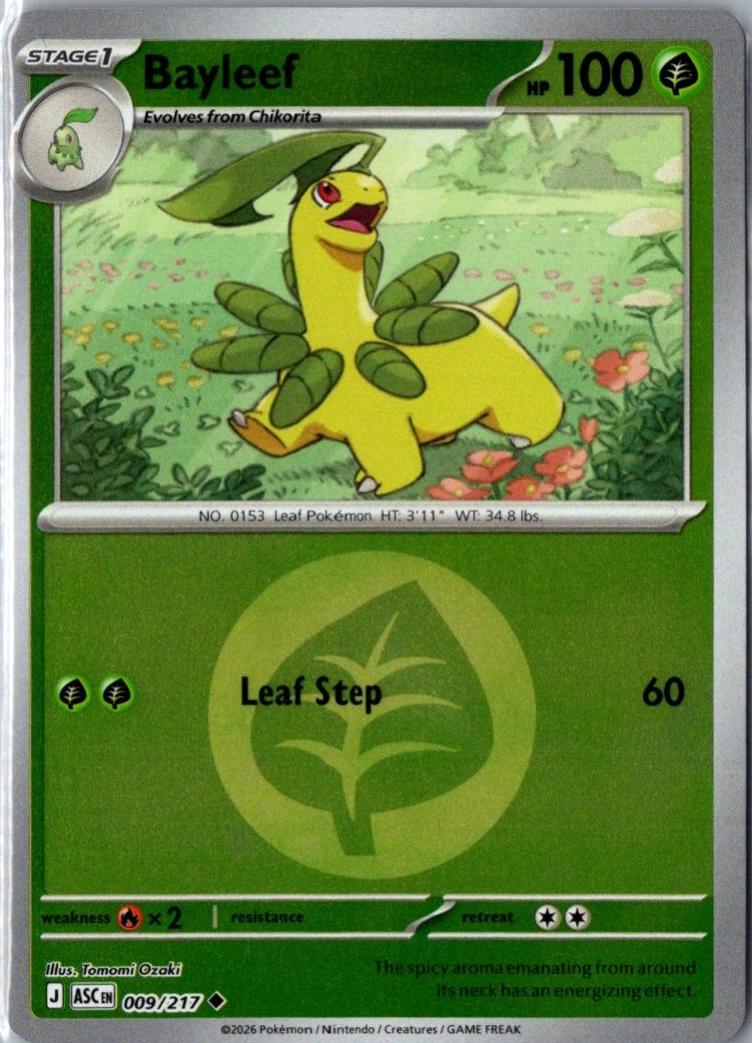 Bayleef [Energy]