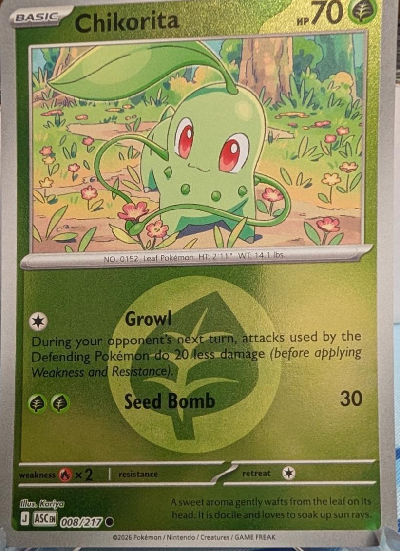 Chikorita [Energy]