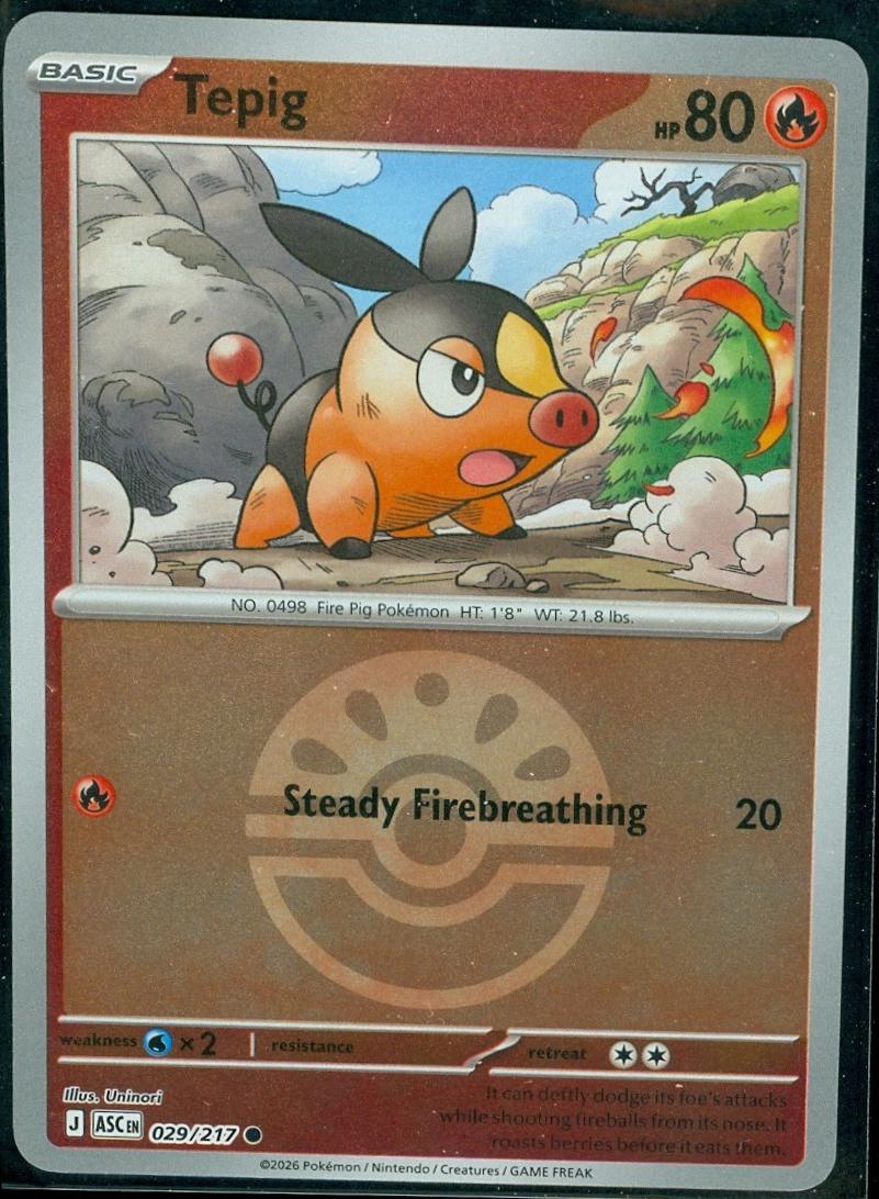 Tepig [Ball]