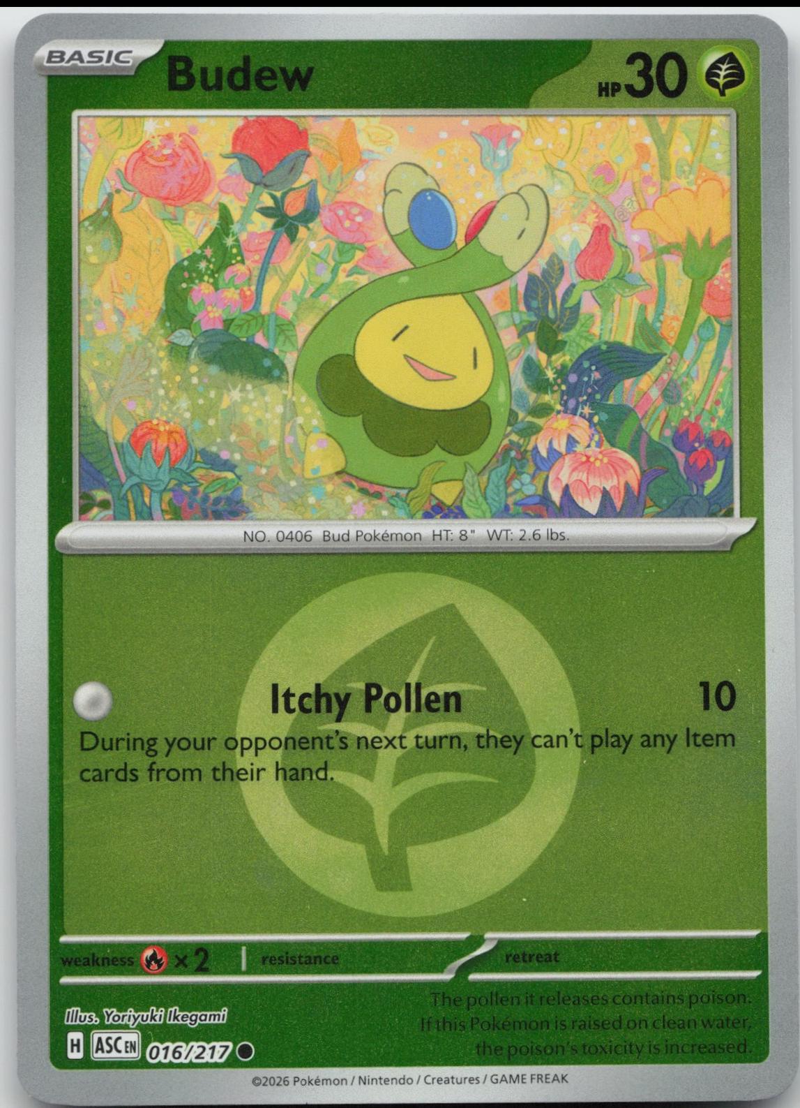 Budew [Energy]
