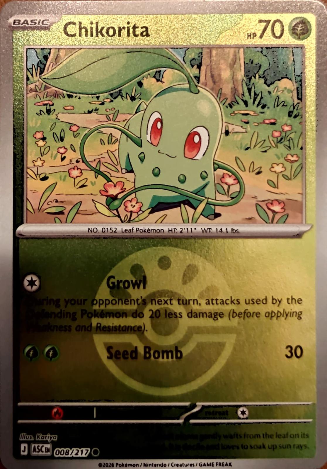 Chikorita [Ball]