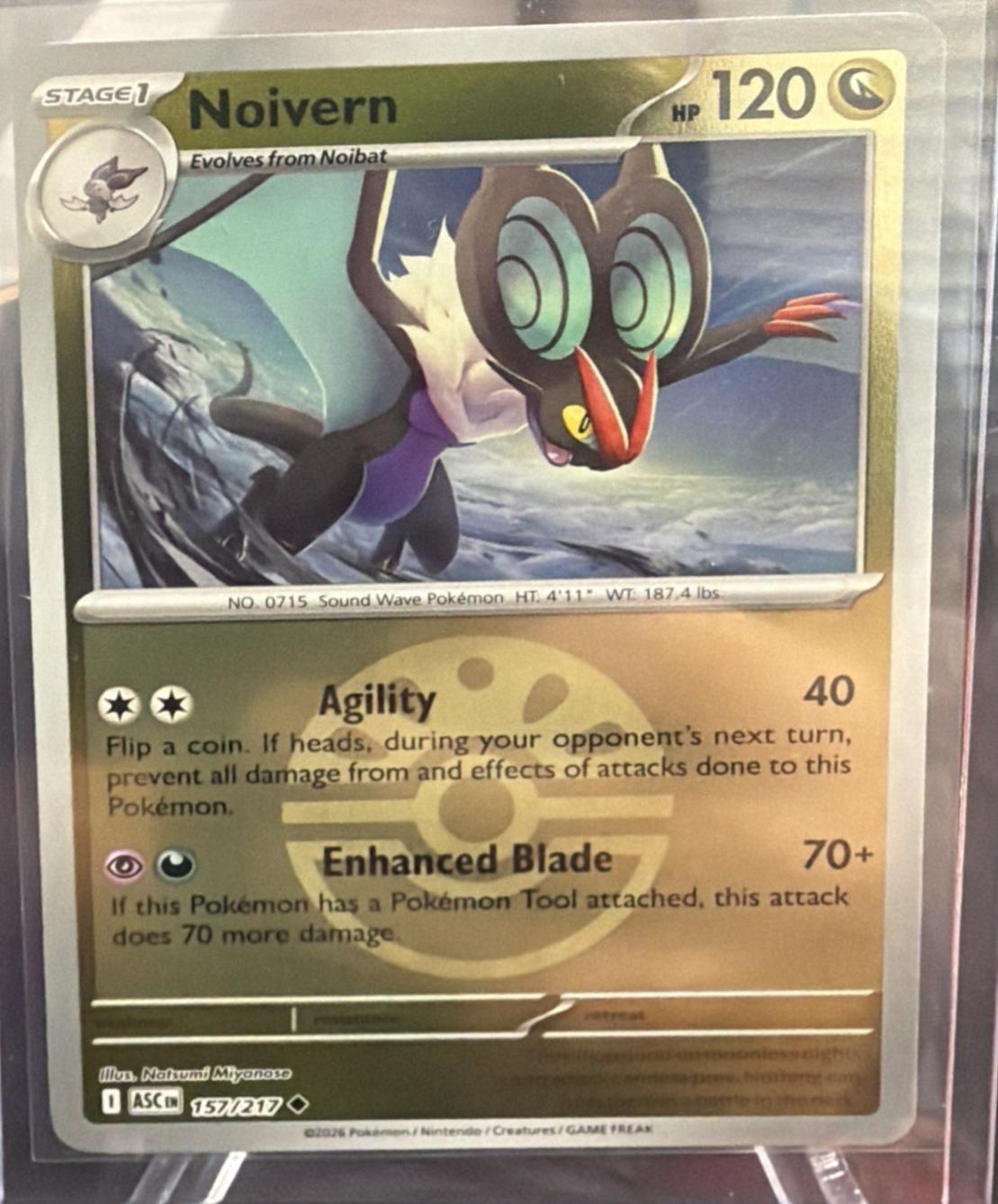Noivern [Ball]
