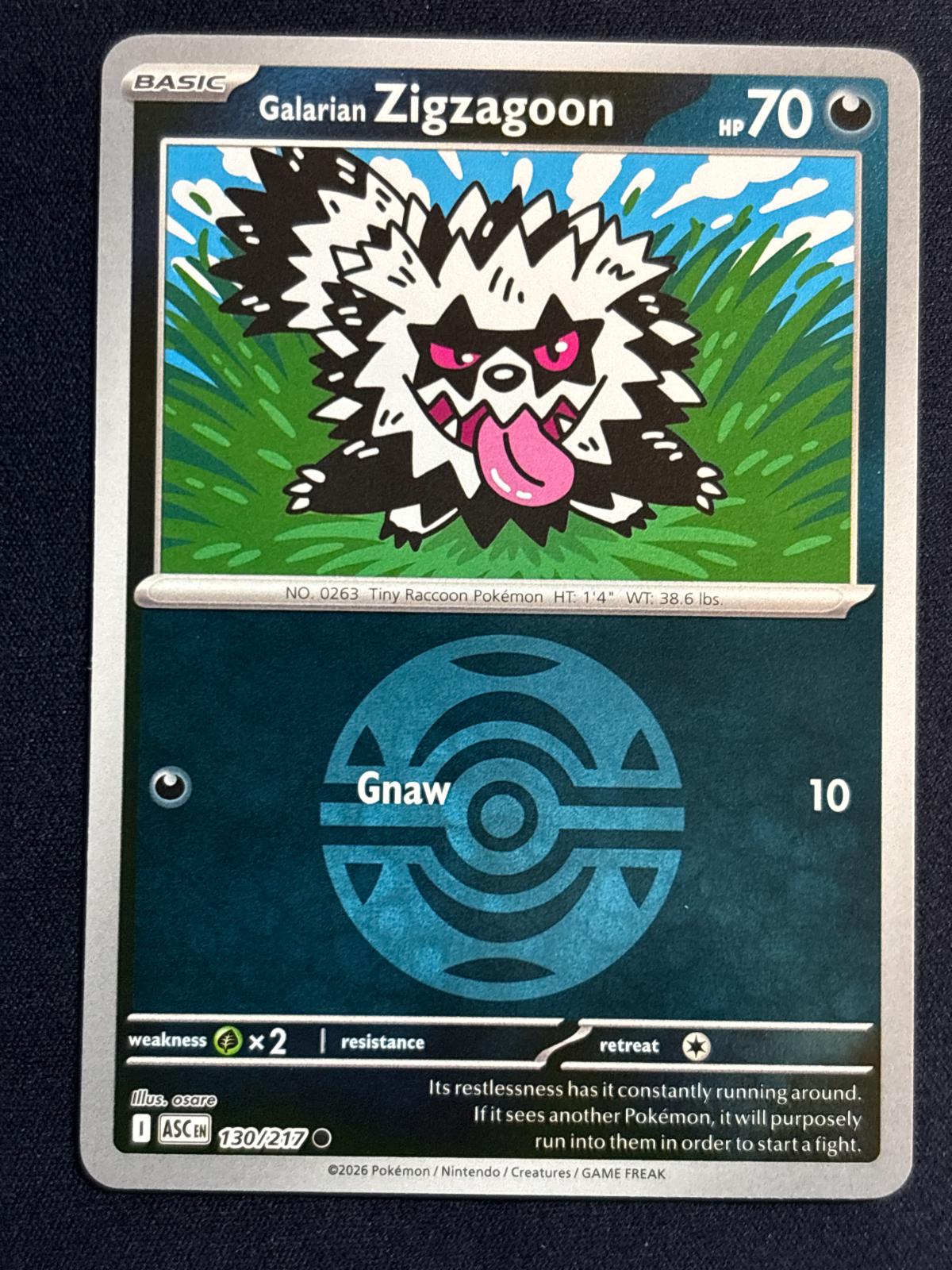 Galarian Zigzagoon [Ball]