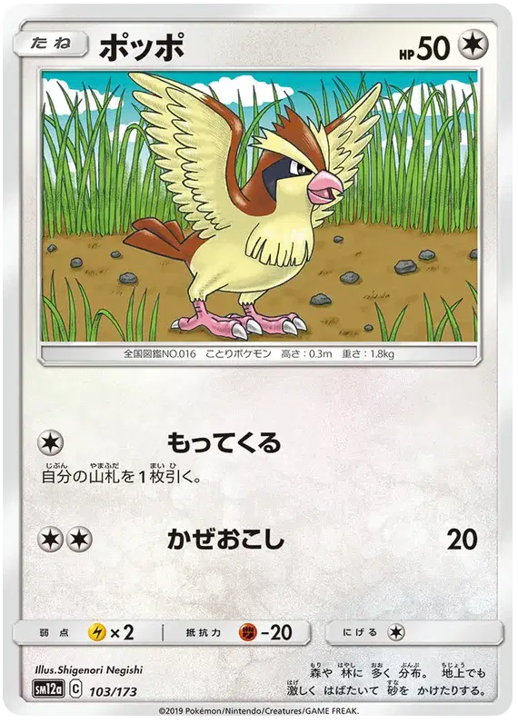 Pidgey