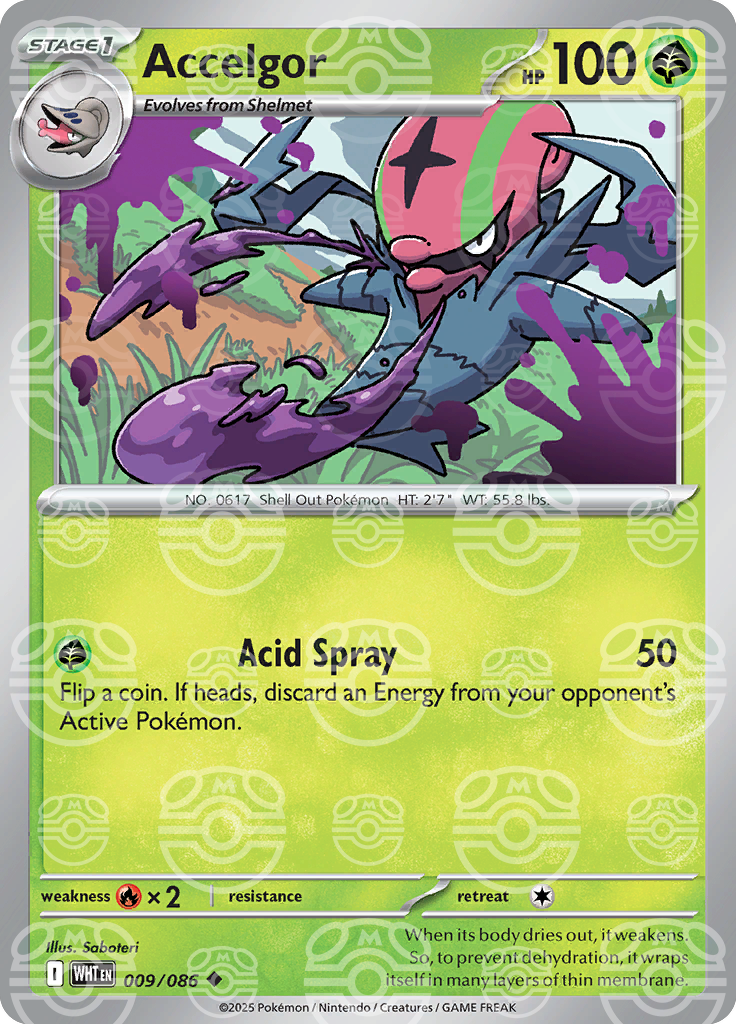 Accelgor [Master Ball]