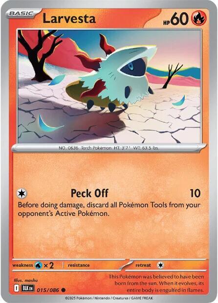 Larvesta [Reverse]