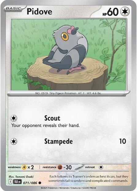 Pidove [Reverse]