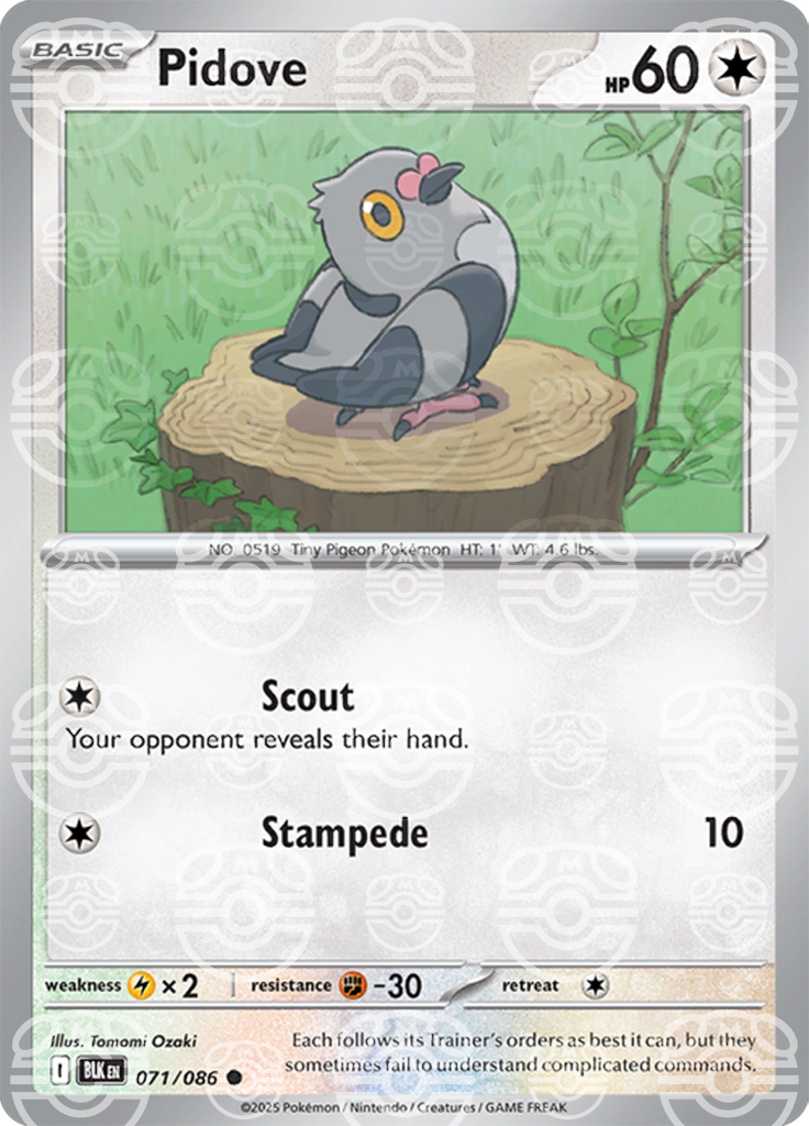 Pidove [Master Ball]