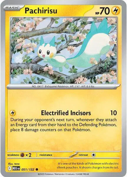 Pachirisu [Reverse Holo]