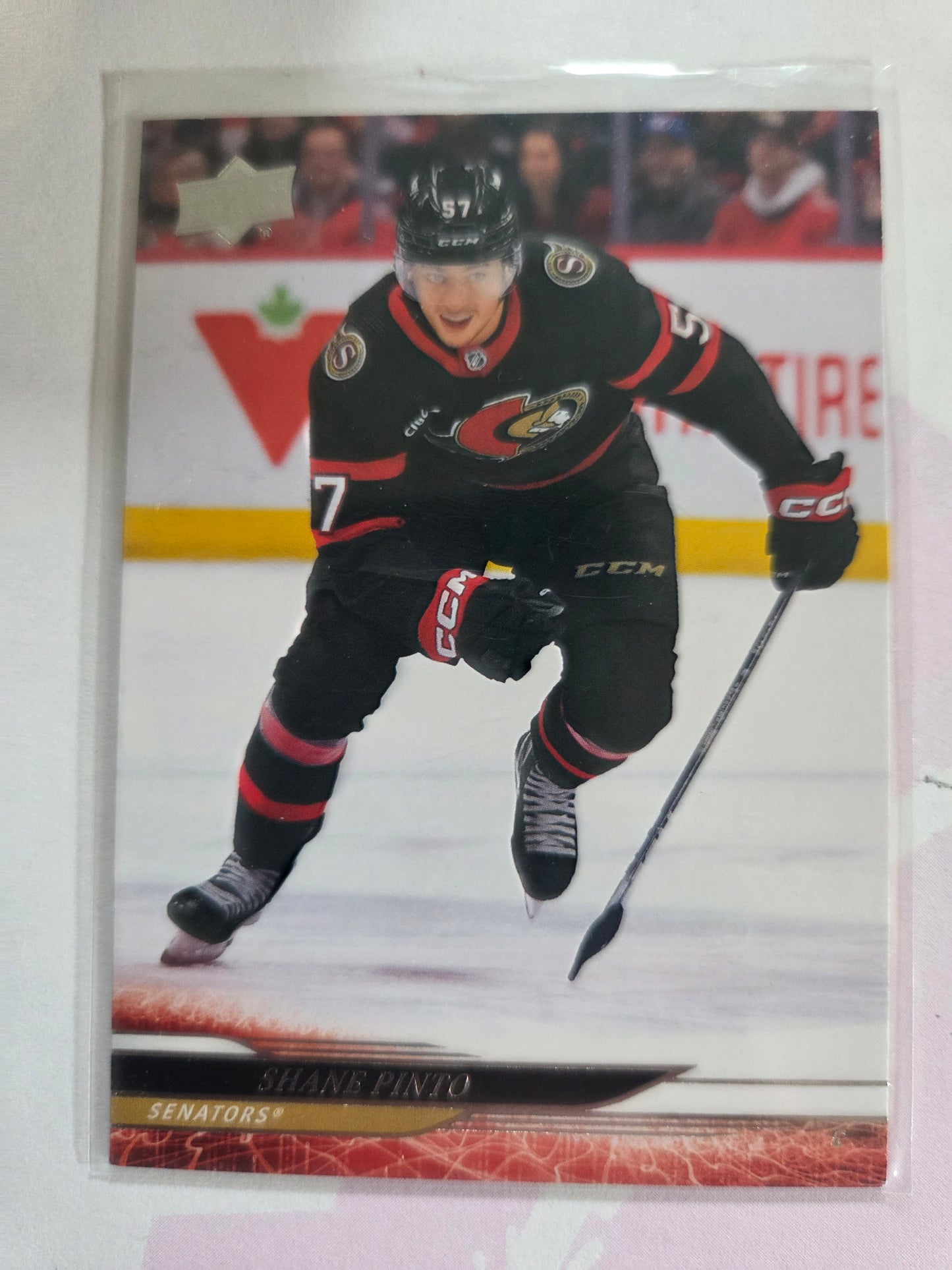 Shane Pinto Upper Deck Series 2 Hockey #370 [Ottawa Senators]