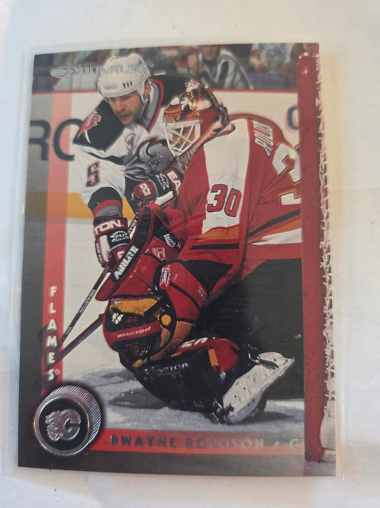 Dwayne Roloson Donruss #148 [Calgary Flames]