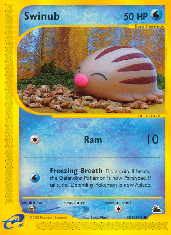 Swinub (107/144) [Skyridge][Yuka Morii]