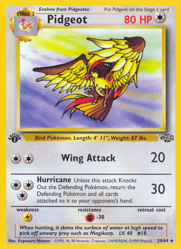Pidgeot (24/64) [Jungle 1ère édition] 