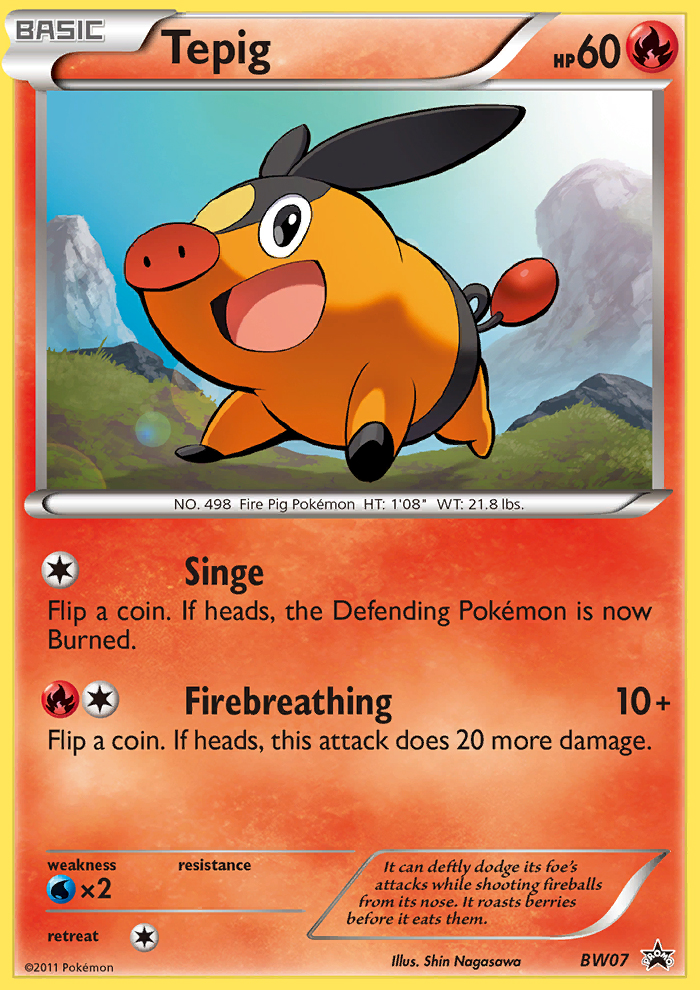 Tepig (BW07) [Noir et blanc : promotions de l'étoile noire] 