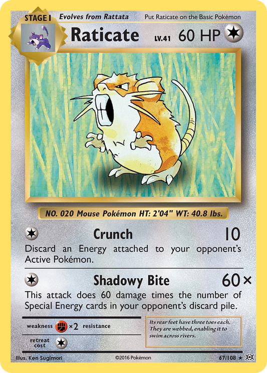 Raticate (67/108) [XY : Évolutions] 