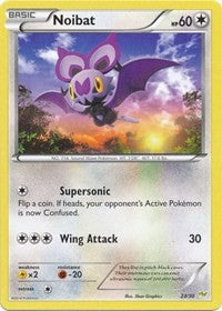 Noibat (12/30) [XY : Kit Formateur - Noivern] 